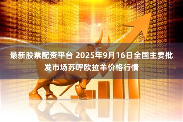 最新股票配资平台 2025年9月16日全国主要批发市场苏呼欧拉羊价格行情