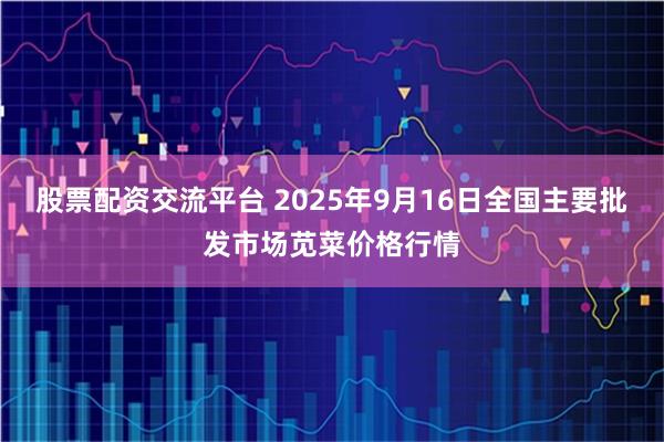 股票配资交流平台 2025年9月16日全国主要批发市场苋菜价格行情