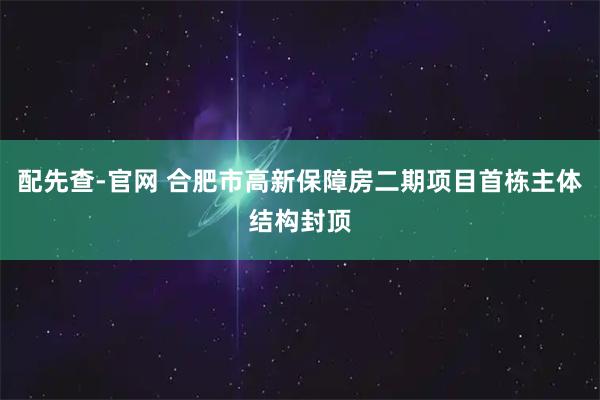 配先查-官网 合肥市高新保障房二期项目首栋主体结构封顶