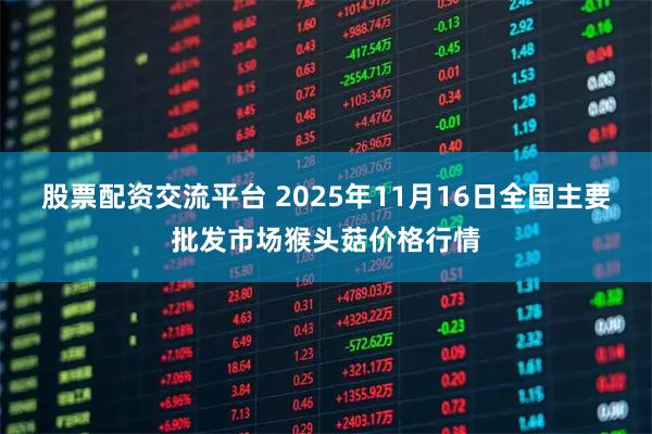 股票配资交流平台 2025年11月16日全国主要批发市场猴头菇价格行情